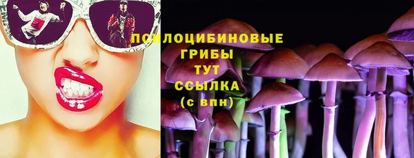 соль курить ск Верхний Тагил