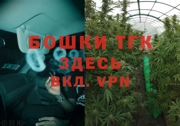 тгк Володарск