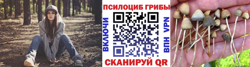 что такое наркотик  Кашира  гидра ссылки  Галлюциногенные грибы Psilocybine cubensis 